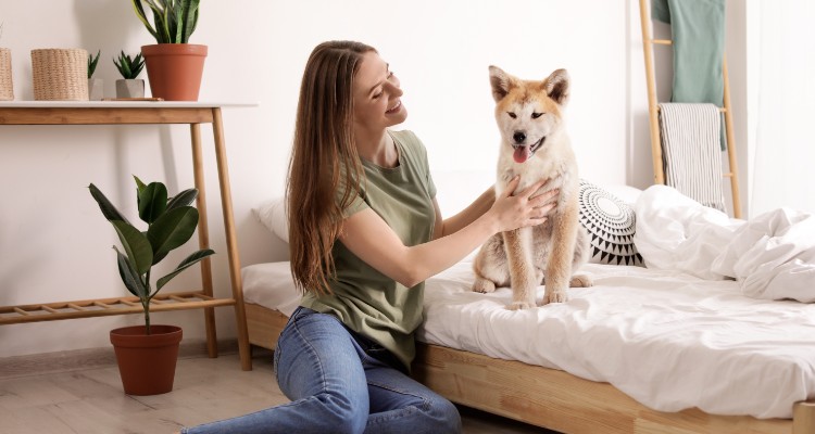 Veterinary Health